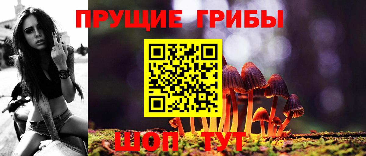 Ухта  Галлюциногенные грибы прущие грибы  Вход с VPN 